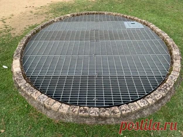 Удивительный японский город оленей Нара . Тут забавно !!!