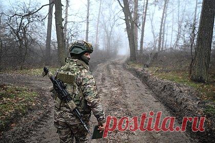 Стало известно об уничтожении минировавших лес диверсантов ВСУ