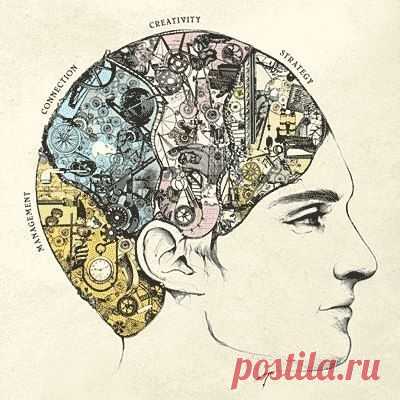 Как развивать полушария мозга?