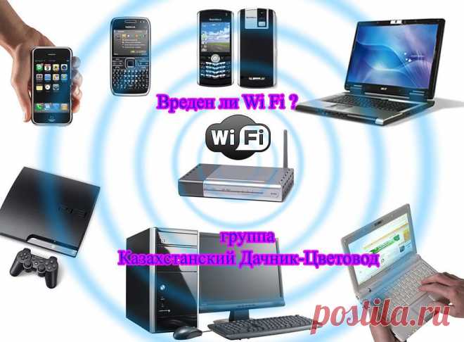 Вреден ли Wi-Fi?