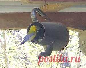 Новая жизнь старого кофейника.