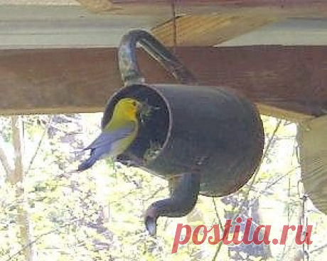 Новая жизнь старого кофейника.