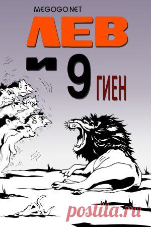 Мультфильм "Лев и девять гиен" - смотреть легально и бесплатно онлайн на MEGOGO.NET