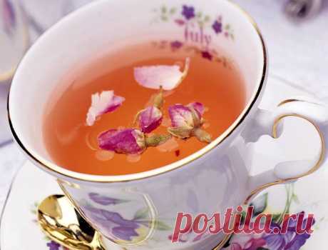 Кипрей узколистный обладает способностью повышать выносливость организма и положительно влияет на сосуды головного мозга. Именно поэтому он издавна применяется для лечения упорных головных болей, мигреней и воспалений мозга после ударов, сотрясений или менингита. Знахари считали кипрей отличным помощником для восстановления сил после тяжелых болезней, при частых простудах и воспалениях легких, когда организм больного очень ослаблен. Иван-чай придавал сил, излечивал от хрипов и сильного кашля, из