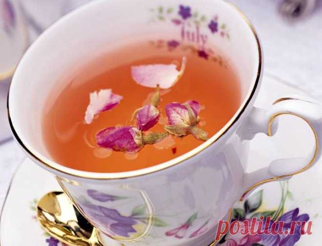 Кипрей узколистный обладает способностью повышать выносливость организма и положительно влияет на сосуды головного мозга. Именно поэтому он издавна применяется для лечения упорных головных болей, мигреней и воспалений мозга после ударов, сотрясений или менингита. Знахари считали кипрей отличным помощником для восстановления сил после тяжелых болезней, при частых простудах и воспалениях легких, когда организм больного очень ослаблен. Иван-чай придавал сил, излечивал от хрипов и сильного кашля, из