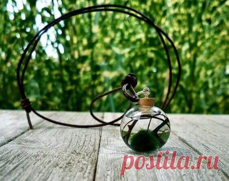 Миниатюрный аквариум как элемент декора