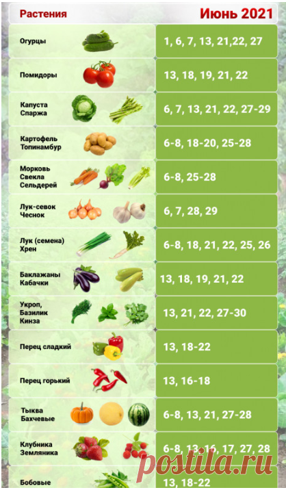 Лунный календарь таблица. Календарь огородника. Календарь посева на июнь. Посевной лунный календарь огородника и садовода таблица. Календарь для посева рассады на 2022 год.