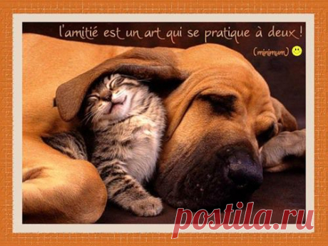 Письмо «цитата Алло_чка44 : Супер красивые и оригинальные обои! Разве нет? (17:12 14-06-2014) [5142053/327766066]» — Алло_чка44 — Яндекс.Почта