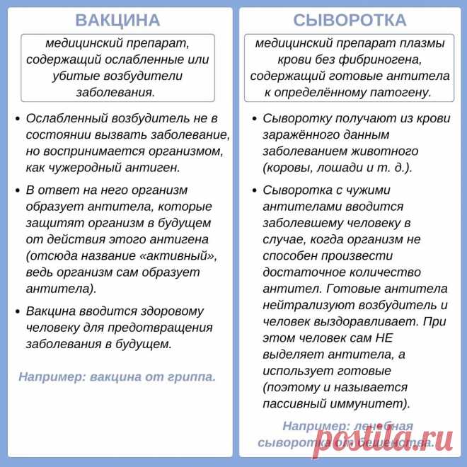 Вакцина и сыворотка
