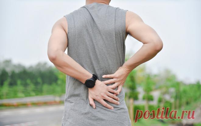 Боль в пояснице. Упражнения для профилактики | Бегать просто | Яндекс Дзен