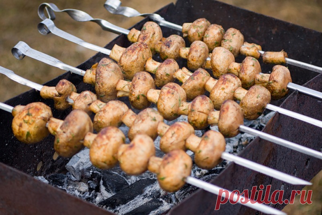 А вы пробовали приготовить необычный шашлык из грибов? 

Летняя пора – это время набираться впечатлений, отдыхать, встречаться с друзьями и еще много интересных дел, которые можно успеть сделать в течение длинного светового дня. Есть в этом списке место и…