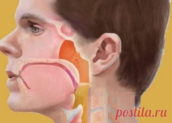 Гимнастика для шеи, которая просто творит чудеса — ВОПРОСЫ-ОТВЕТЫ