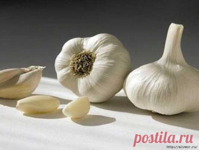 Пока есть чеснок на земле, земля будет жить