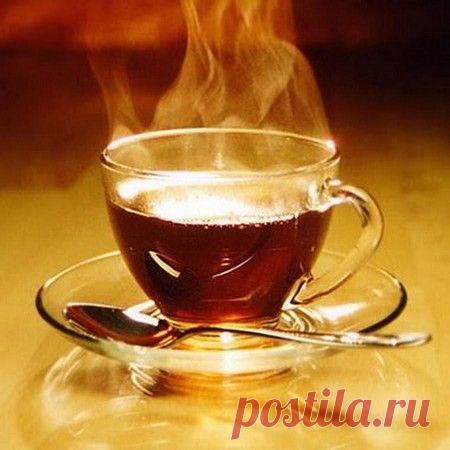 Куркума – полезные свойства и правила применения