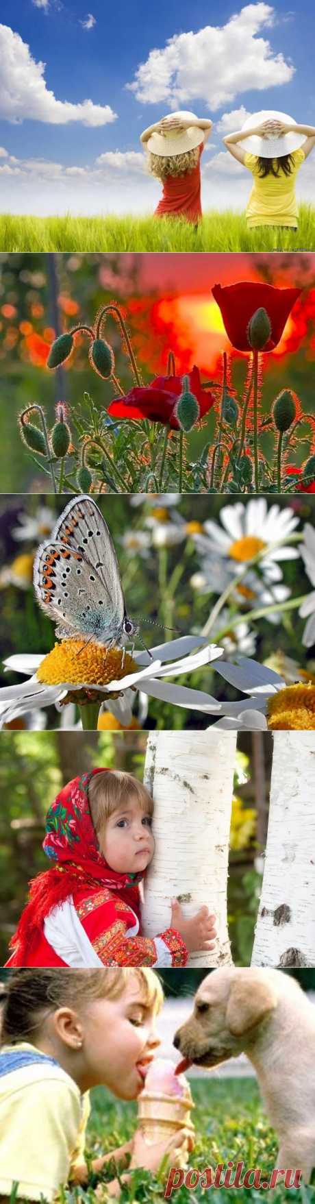 Лето в сарафанчике из ситца
С зорькою румяною пришло
И давай шалить и веселиться,
Раздавать улыбки и тепло.

Нарядило в милые серёжки
Белые берёзки и ольху.
Тополям, растущим вдоль дорожки,
Предложило куртку на пуху.

Растрепало косы плаксе-иве,
Слёзы осушив ей ветерком.
И, надувши губки, побелило
Озеро туманным молоком.
Целый день без устали трудилось,
Всем вокруг стараясь угодить.
К вечеру притихло – уморилось,
Солнышко решило проводить.