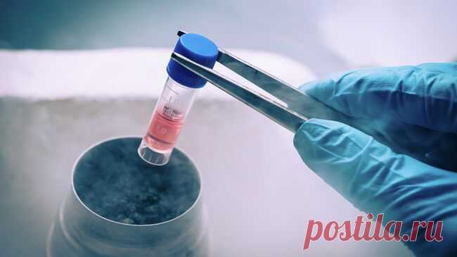 В Уфе суд обязал клинику провести женщине ЭКО после смерти ее мужа