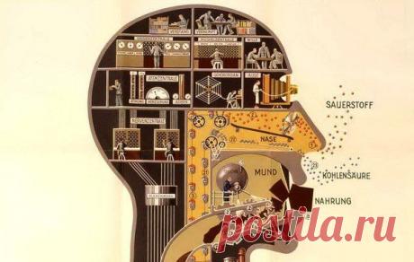 10 необычных защитных механизмов человеческого организма / Абсолютное здоровье