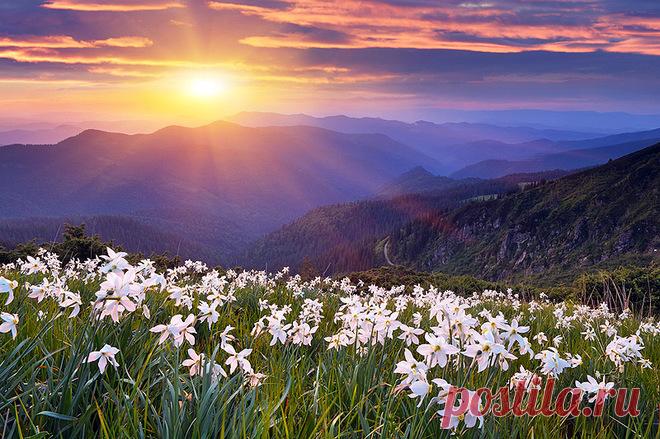 Самые красивые цветочные долины мира