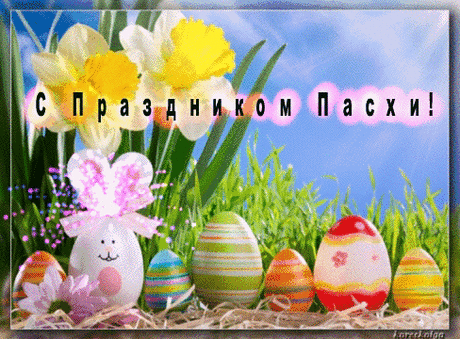 Анимированные открытки для поздравлений с Пасхой - 3 шт. + КОД