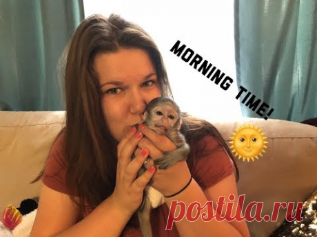 Baby monkey morning time | Max’s morning Routine
