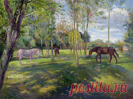 Я просыпаюсь в сказку... Художник Тимоти Истон / Timothy Easton (Англия, 1943)