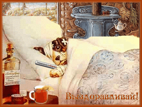 Выздоравливай скорей!