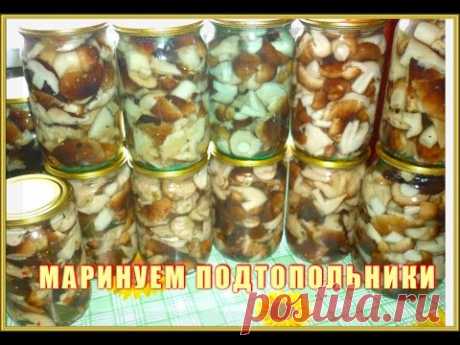 Маринуем грибы  подтопольники.