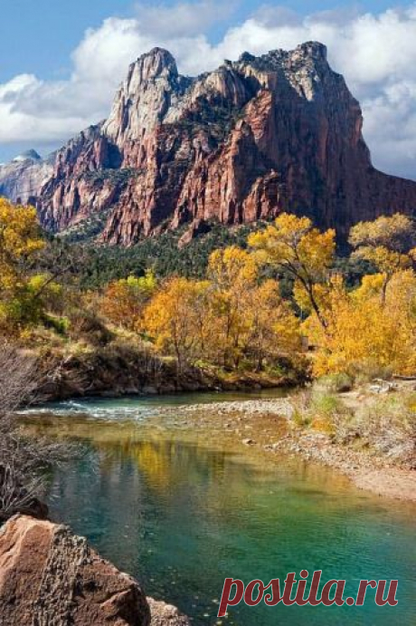Pinterest (Pin) (157)