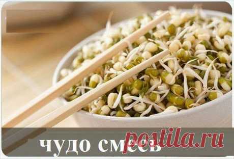 худеем легко и просто