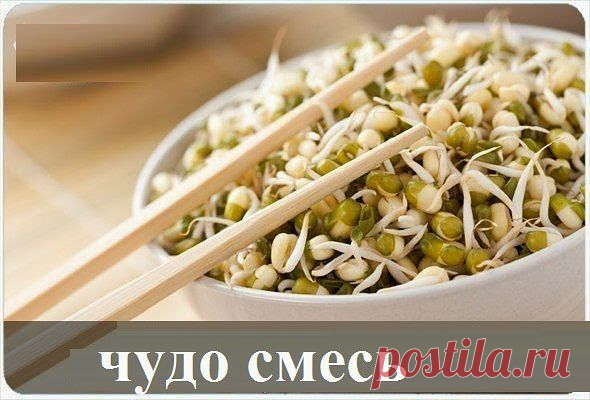 худеем легко и просто
