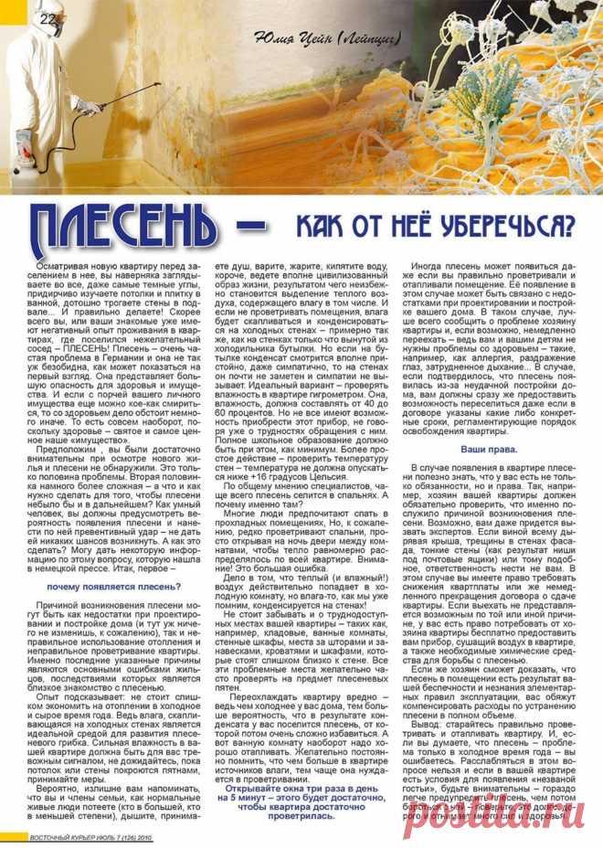 Плесень - как от нее уберечься