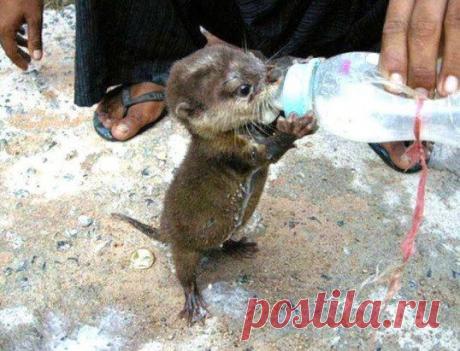 Сколько добра в одном фото.