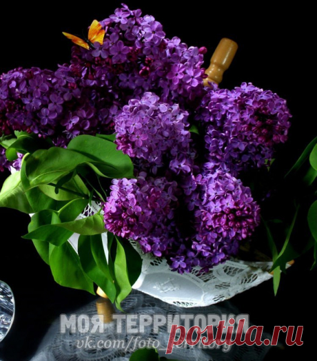 Светлана: https://youtu.be/3Wk6Z5r3mQo