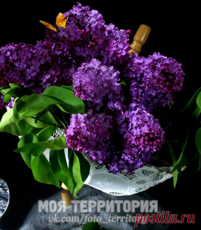 Светлана: https://youtu.be/3Wk6Z5r3mQo