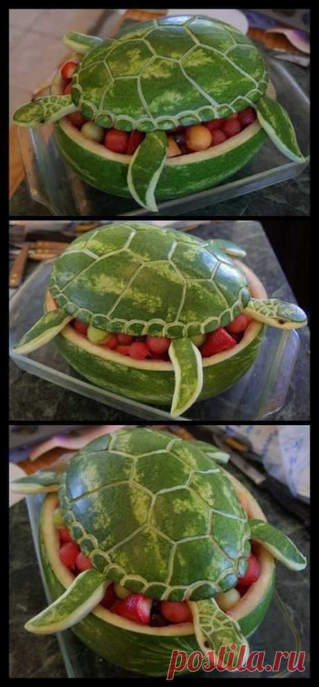 Watermelon Sea Turtle by Ti-7-4Raven on DeviantArt
