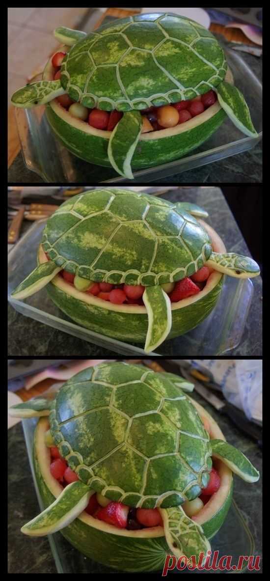 Watermelon Sea Turtle by Ti-7-4Raven on DeviantArt