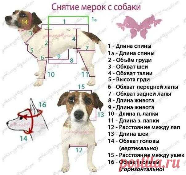 Вязание крючком и спицами (Своими руками)