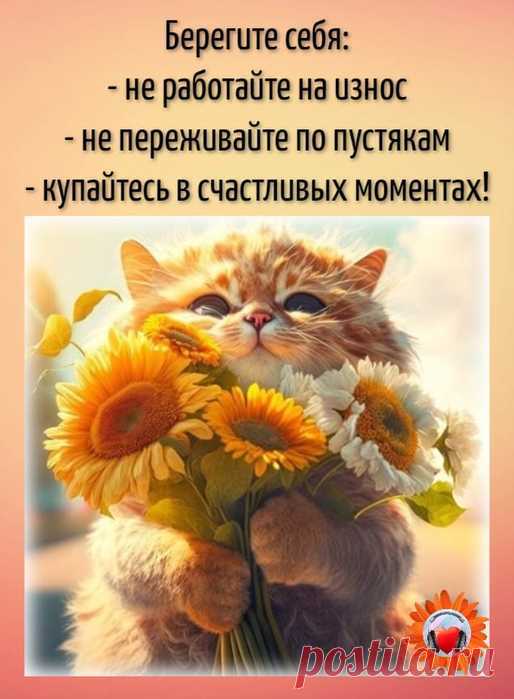 👉 Совет дня!