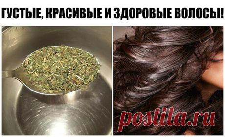 (11) Одноклассники