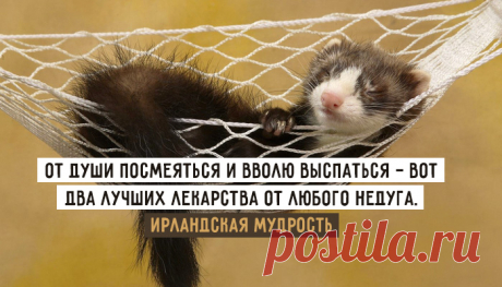 Ирландской мудрости пост – Фитнес для мозга