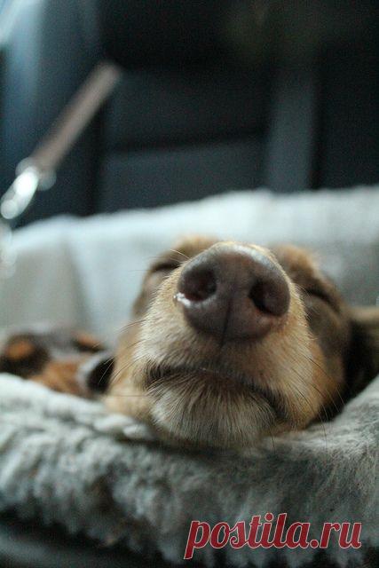 Pinterest: инструмент для поиска и хранения интересных идей