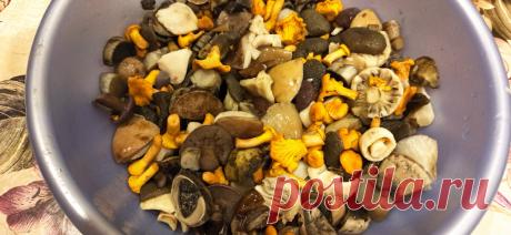Рецепт самых вкусных солёных грибов. Попробуйте сделать и всегда будете мне говорить спасибо | Брусничка | Яндекс Дзен