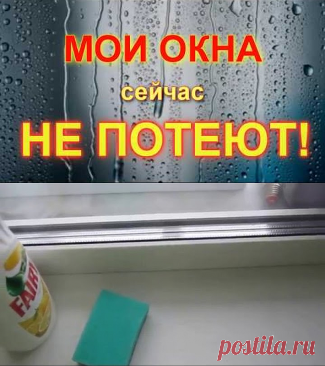 (15) Одноклассники