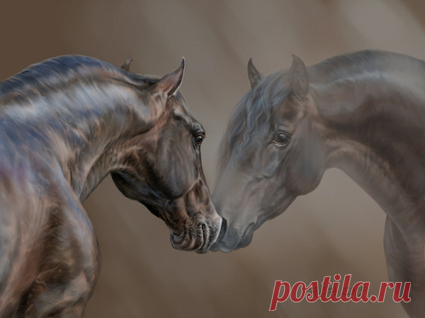 ...Рисунки лошадей от Svetlana (Animal75Artist)...♦\\♦2 часть