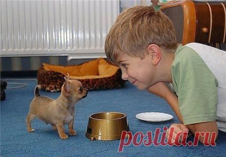 Голосование Мисс/Мистер