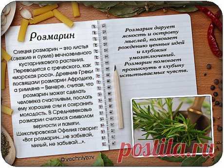 Мой Мир@Mail.Ru