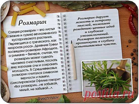 Мой Мир@Mail.Ru