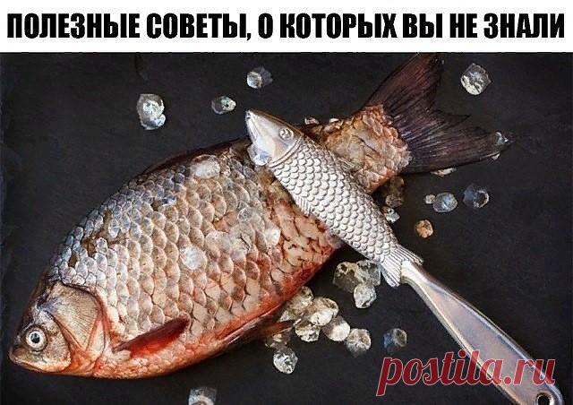 П0ЛЕЗНЫЕ СОВЕТЫ, О К0Т0РЫХ ВЫ ПРЕЖДЕ НЕ 3НАЛИ