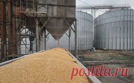 В МИДе назвали условие продления зерновой сделки. Если до 18 мая сторонам не удастся достичь консенсуса по зерновой сделке, она прекратит свое существование, заявил замглавы МИДа Вершинин. Ранее в министерстве говорили, что для ее продления нужно решить пять «системных проблем»