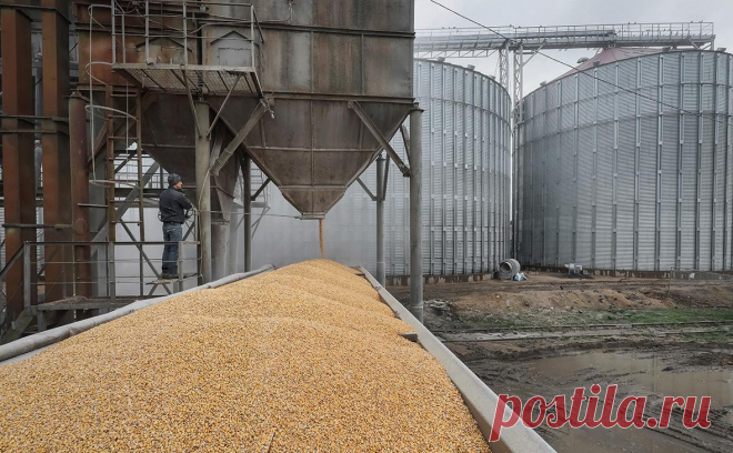 В МИДе назвали условие продления зерновой сделки. Если до 18 мая сторонам не удастся достичь консенсуса по зерновой сделке, она прекратит свое существование, заявил замглавы МИДа Вершинин. Ранее в министерстве говорили, что для ее продления нужно решить пять «системных проблем»